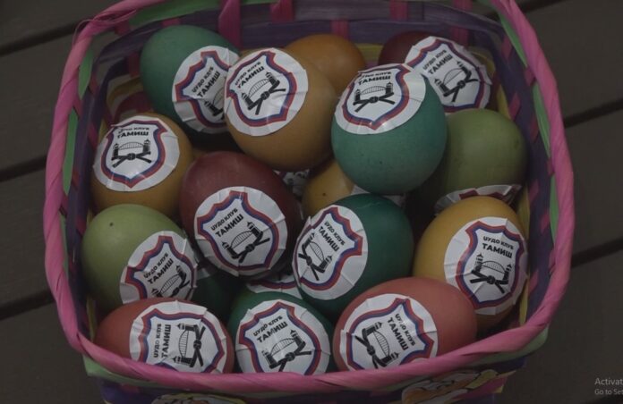 džudo tamiš foto 2